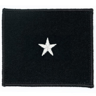 Dystynkcja na kurtkę wyjściową Sił Powietrznych Chorąży