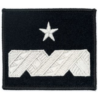 Dystynkcja na kurtkę wyjściową Sił Powietrznych Generał Brygady