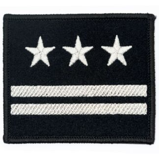 Dystynkcja na kurtkę wyjściową Sił Powietrznych Pułkownik